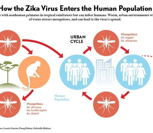 Tỉnh Quảng Nam và chiến dịch ngăn ngừa Virus Zika
