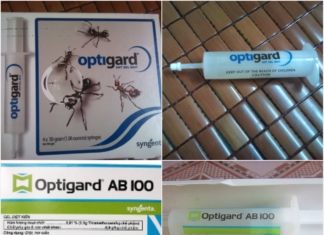 Gel diệt kiến Optigard AB 100 Bán thuốc diệt kiến tận gốc tại Đà Nẵng - Optigard AB 100 dạng gel